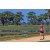 Team 111 / Raid Amazones Sri Lanka 2019 - J5 Bike and Run