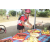 Team 15 / Raid Amazones Sri Lanka 2019 - J5 Bike and Run