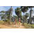 Team 33 / Raid Amazones Sri Lanka 2019 - J5 Bike and Run