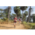 Team 07 / Raid Amazones Sri Lanka 2019 - J5 Bike and Run