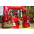 Team 33 / Raid Amazones Sri Lanka 2019 - J5 Bike and Run