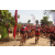 Team 47 / Raid Amazones Sri Lanka 2019 - J5 Bike and Run