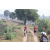 Team 36 / Raid Amazones Sri Lanka 2019 - J5 Bike and Run