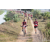 Team 04 / Raid Amazones Sri Lanka 2019 - J5 Bike and Run