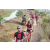 Team 25 / Raid Amazones Sri Lanka 2019 - J5 Bike and Run