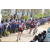 Team 114 / Raid Amazones Sri Lanka 2019 - J5 Bike and Run