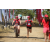 Team 15 / Raid Amazones Sri Lanka 2019 - J5 Bike and Run