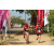 Team 26 / Raid Amazones Sri Lanka 2019 - J5 Bike and Run