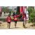 Team 102 / Raid Amazones Sri Lanka 2019 - J5 Bike and Run