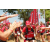 Team 29 / Raid Amazones Sri Lanka 2019 - J5 Bike and Run