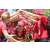 Team 33 / Raid Amazones Sri Lanka 2019 - J5 Bike and Run