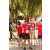Team 29 / Raid Amazones Sri Lanka 2019 - J5 Bike and Run