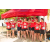 Team 26 / Raid Amazones Sri Lanka 2019 - J5 Bike and Run