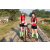 Team 07 / Raid Amazones Sri Lanka 2019 - J5 Bike and Run