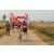 Team 143 / Raid Amazones Sri Lanka 2019 - J5 Bike and Run