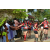 Team 24 / Raid Amazones Sri Lanka 2019 - J5 Bike and Run