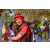 Team 122 / Raid Amazones Sri Lanka 2019 - J5 Bike and Run