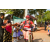 Team 29 / Raid Amazones Sri Lanka 2019 - J5 Bike and Run