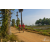 Team 135 / Raid Amazones Sri Lanka 2019 - J5 Bike and Run