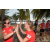 Team 34 / Raid Amazones Sri Lanka 2019 - J5 Bike and Run