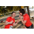 Team 34 / Raid Amazones Sri Lanka 2019 - J5 Bike and Run