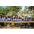 Raid Amazones Sri Lanka 2019 - J5 Bike and Run