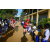 Team 29 / Raid Amazones Sri Lanka 2019 - J5 Bike and Run