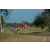 Team 101 / Raid Amazones Sri Lanka 2019 - J5 Bike and Run