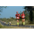 Team 101 / Raid Amazones Sri Lanka 2019 - J5 Bike and Run