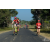 Team 05 / Raid Amazones Sri Lanka 2019 - J5 Bike and Run