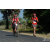 Team 19 / Raid Amazones Sri Lanka 2019 - J5 Bike and Run