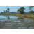 Raid Amazones Sri Lanka 2019 - J5 Bike and Run