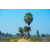 Raid Amazones Sri Lanka 2019 - J5 Bike and Run