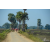 Raid Amazones Sri Lanka 2019 - J5 Bike and Run