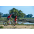 Team 05 / Raid Amazones Sri Lanka 2019 - J5 Bike and Run