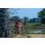 Team 50 / Raid Amazones Sri Lanka 2019 - J5 Bike and Run
