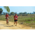 Team 123 / Raid Amazones Sri Lanka 2019 - J5 Bike and Run