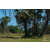 Raid Amazones Sri Lanka 2019 - J5 Bike and Run
