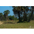 Raid Amazones Sri Lanka 2019 - J5 Bike and Run