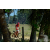 Team 19 / Raid Amazones Sri Lanka 2019 - J5 Bike and Run