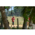 Team 19 / Raid Amazones Sri Lanka 2019 - J5 Bike and Run