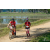 Team 47 / Raid Amazones Sri Lanka 2019 - J5 Bike and Run