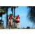 Team 111 / Raid Amazones Sri Lanka 2019 - J5 Bike and Run