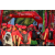 Raid Amazones Sri Lanka 2019 - J6 Trail