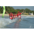 Team 26 / Raid Amazones Sri Lanka 2019 - J6 Trail
