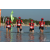 Team 44 / Raid Amazones Sri Lanka 2019 - J6 Trail