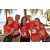 Team 123 / Raid Amazones Sri Lanka 2019 - J6 Trail
