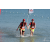 Team 33 / Raid Amazones Sri Lanka 2019 - J6 Trail