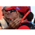 Team 07 / Raid Amazones Sri Lanka 2019 - J6 Trail