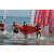 Team 105 / Raid Amazones Sri Lanka 2019 - J6 Trail